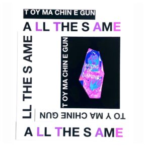 All the Same by Toy Machine Gun