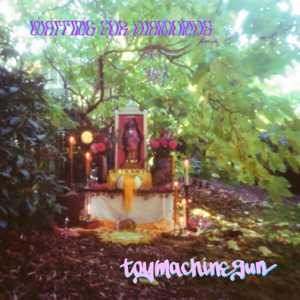 Waiting for Diamonds By Toy Machine Gun